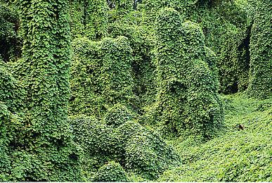 传《最后的生还者3》正在开发中 将登陆PS5和PS6