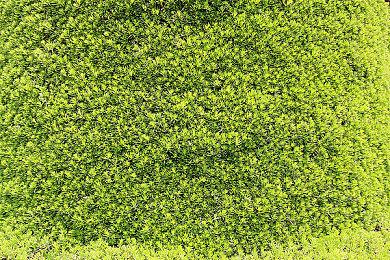 黑暗童话《惊悚故事3：英格莉忏悔录》今日登陆Steam